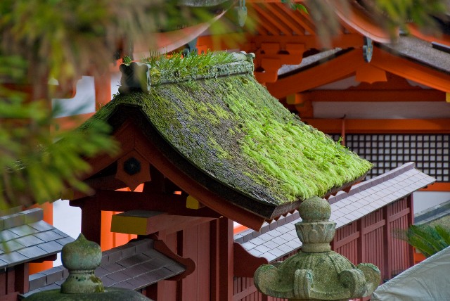 Chiêm ngưỡng kiến trúc Đền Nổi Itsukushima - Nhật Bản | 11